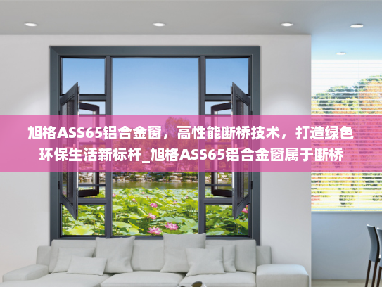 旭格ASS65铝合金窗，高性能断桥技术，打造绿色环保生活新标杆_旭格ASS65铝合金窗属于断桥