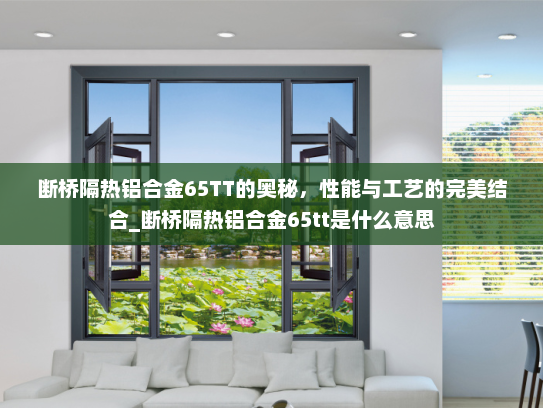 断桥隔热铝合金65TT的奥秘，性能与工艺的完美结合_断桥隔热铝合金65tt是什么意思